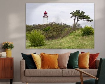 Der Leuchtturm Dornbusch auf der Insel Hiddensee von Rico Ködder