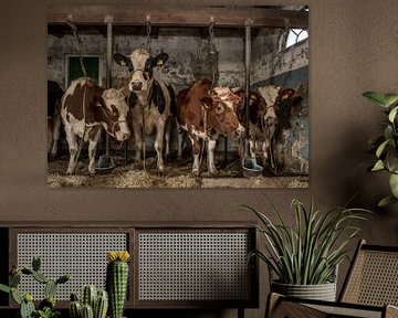 Dutch cows in an old barn by Inge Jansen