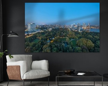 The cityscape from the Euromast in Rotterdam during the blue hour by MS Fotografie | Marc van der Stelt