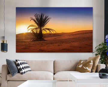 Lonely palm tree in the desert at sunrise, Morocco by Rietje Bulthuis