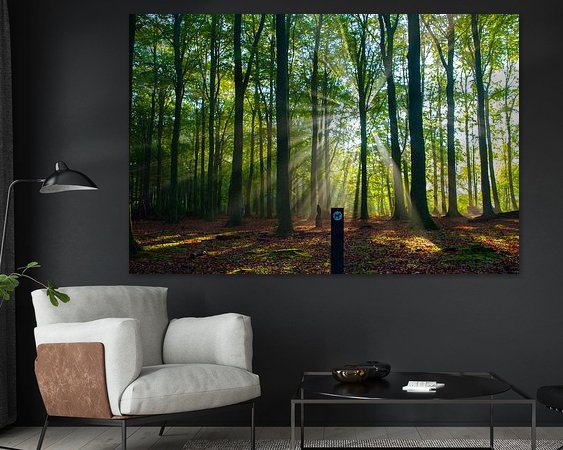 Aperçu de la chambre