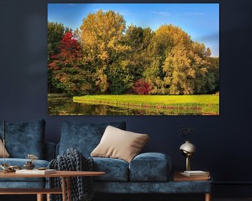 L'automne dans le Biesbosch sur Artstudio1622