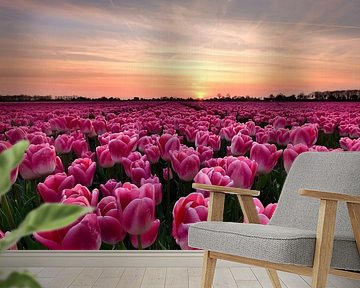 Tulips at sunset by John Leeninga