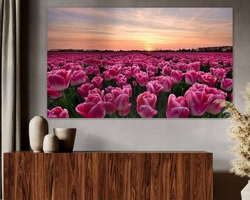 Tulpen bij zonsondergang van John Leeninga