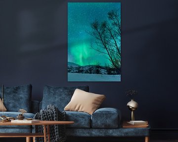 Noorderlicht boven de Lofoten in Noorwegen van Sjoerd van der Wal Fotografie