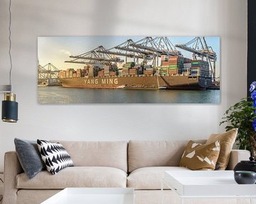 Containerschiff an einem terminal im Rotterdam Hafen von Sjoerd van der Wal Fotografie