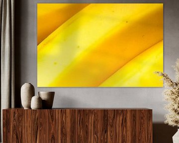 Fin de fruit de banane vers le haut sur Sjoerd van der Wal Photographie