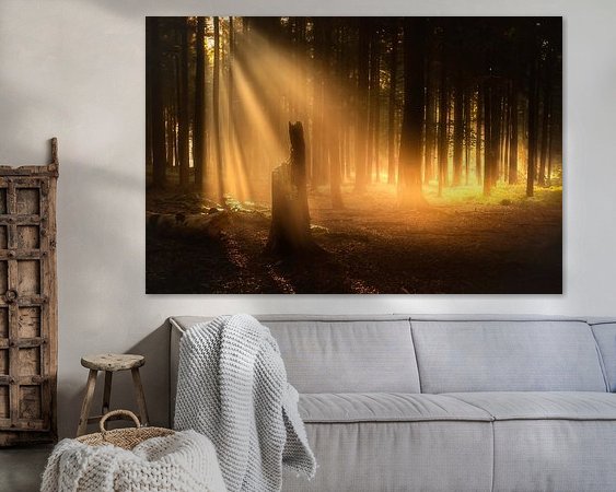 Aperçu de la chambre