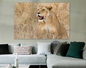 Serengeti Lioness by Ronne Vinkx