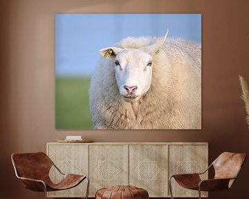 Sheep sur Tina van der Veen