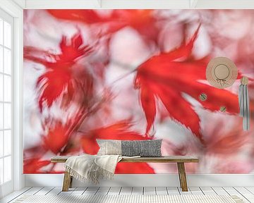 Red colors of Autumn