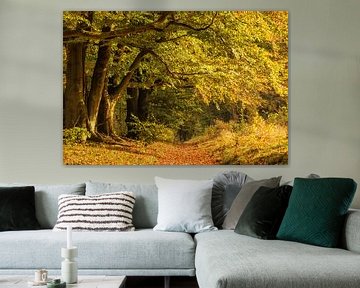 Bos in herfstkleuren van Ilya Korzelius
