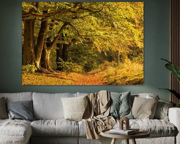Bos in herfstkleuren van Ilya Korzelius