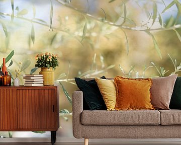 Olijfboom in de Italiaanse zon