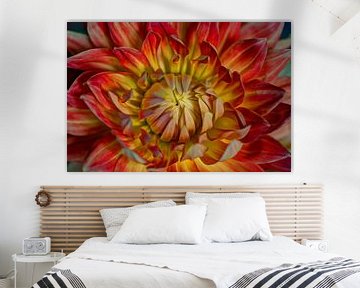 Portret van een Dahlia by Zilte C fotografie