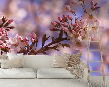 Cherry Blossom by LHJB Photography