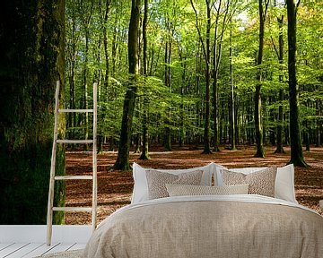 In het bos, in het bos van Jaco Verheul