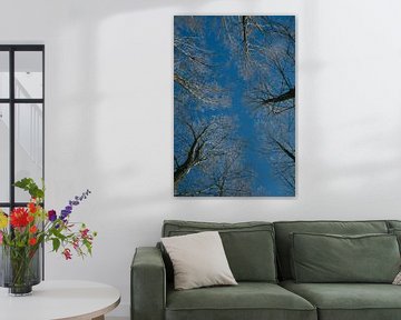 winter, boomkruin van Arnoud Kunst