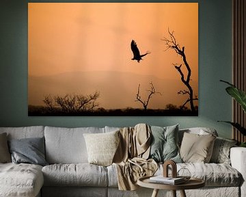 African sunset van Jasper van der Meij