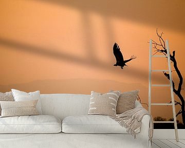 African sunset by Jasper van der Meij