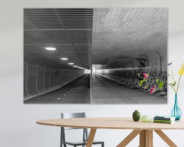 Tunnel pour bicyclettes - Gare centrale sur Hugo Lingeman