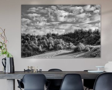 Paysage de dunes en noir et blanc