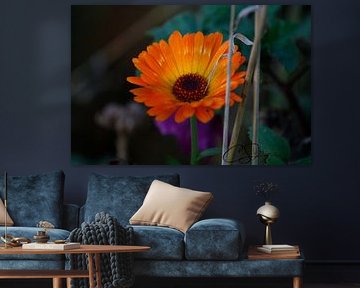 Blume im Herbst