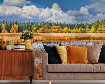 Autumn in the forest by eric van der eijk