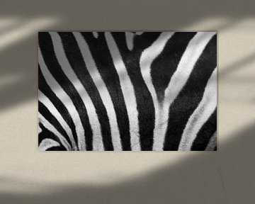 Black and white stripes von Kaatje Fotografie