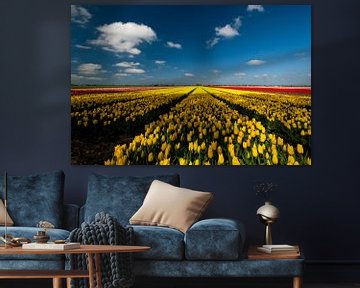Bollenstreek - gele en rode tulpen - Nederland van Jeroen(JAC) de Jong