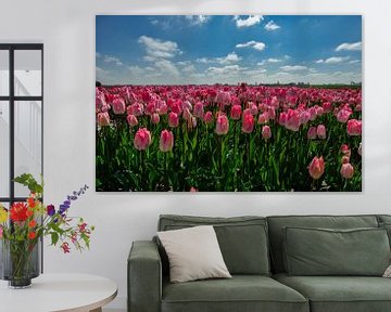 Bollenstreek - roze tulpen - Nederland van Jeroen(JAC) de Jong