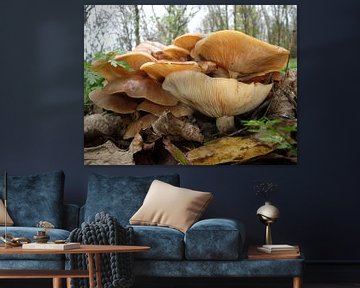 Herfstbeeld met paddenstoelen  van Pieter Korstanje