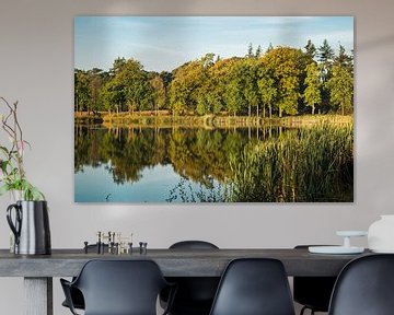 Weerspiegeling bosrand Mastbos in de herfst van Fotografie Jeronimo