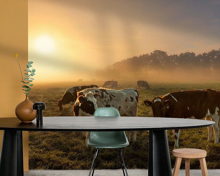 Sfeerimpressie behang: Koeien in de mist van Dennisart Fotografie