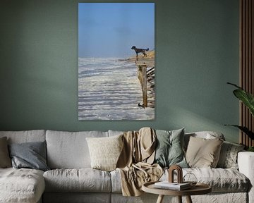 Dog looking at the sea by Corinna Vollertsen