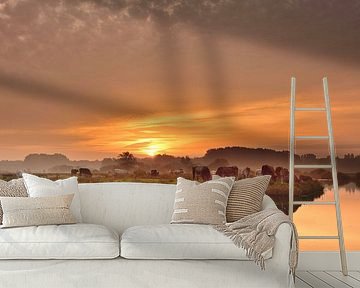 Cows with a beautiful sunrise by John Leeninga