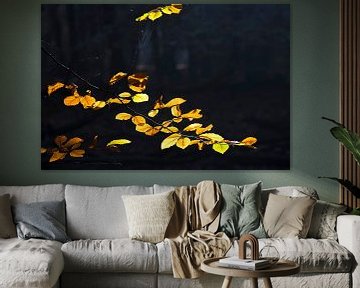 Gouden herfstbladeren van Barbara Brolsma