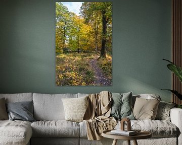 autumn12 by Geertjan Plooijer