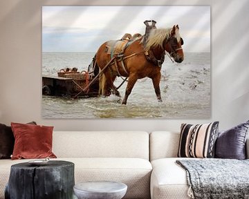 Horse in water with wagon. 