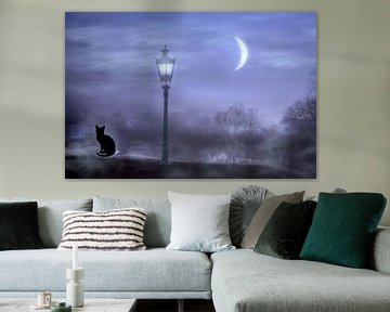 Le chat au clair de lune