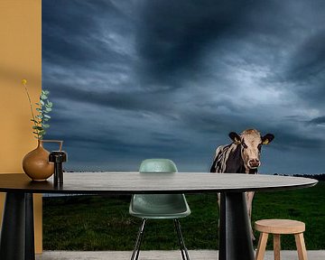 Cow in empty meadow by Martijn van Dellen