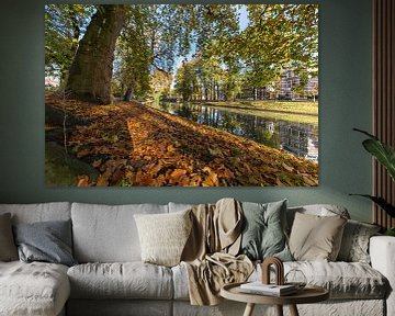 De Stadsbuitengracht in Utrecht, ter hoogte van de Maliesingel van André Blom Fotografie Utrecht