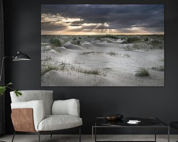 Amelandse duinen van Niels Barto