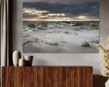 Amelandse duinen sur Niels Barto