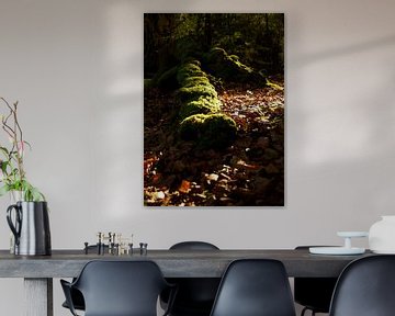 moss by M K