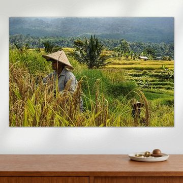 Oogsters in de rijstvelden van Jatiluwih