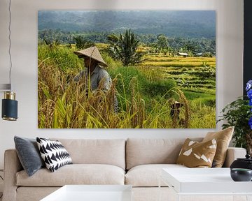 Oogsters in de rijstvelden van Jatiluwih van Joris Pannemans - Loris Photography