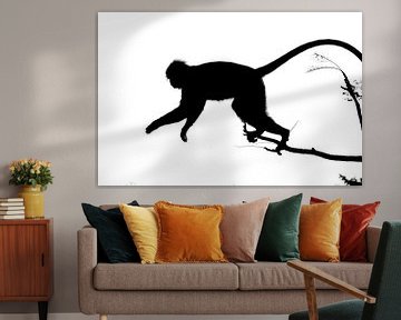 jumping monkey van M K