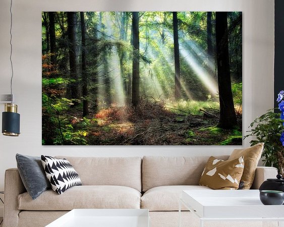 Voorbeeld van het werk in een kamer