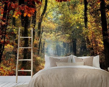 autumn in all its colours by Rigo Meens